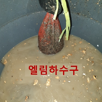 광교변기막힘세면대수리하수구 이미지
