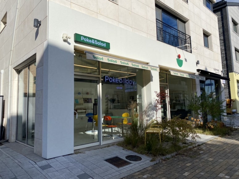 포케올데이배곧 이미지