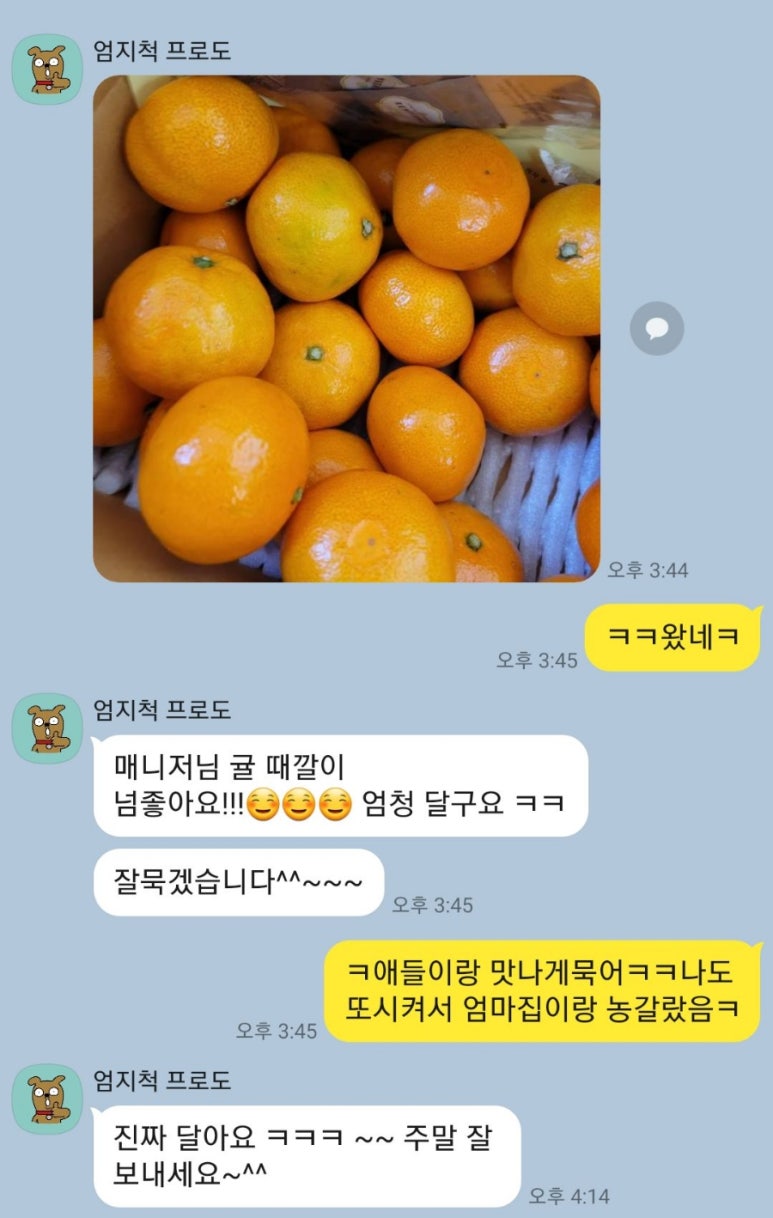 더달당 이미지