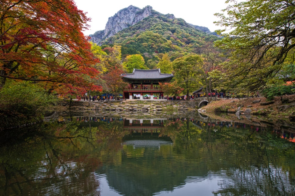 호야네 이미지