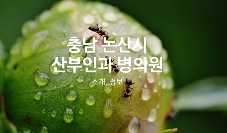 의료법인 백제병원 이미지