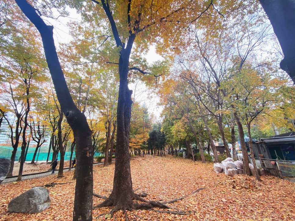파란시스템공조 이미지