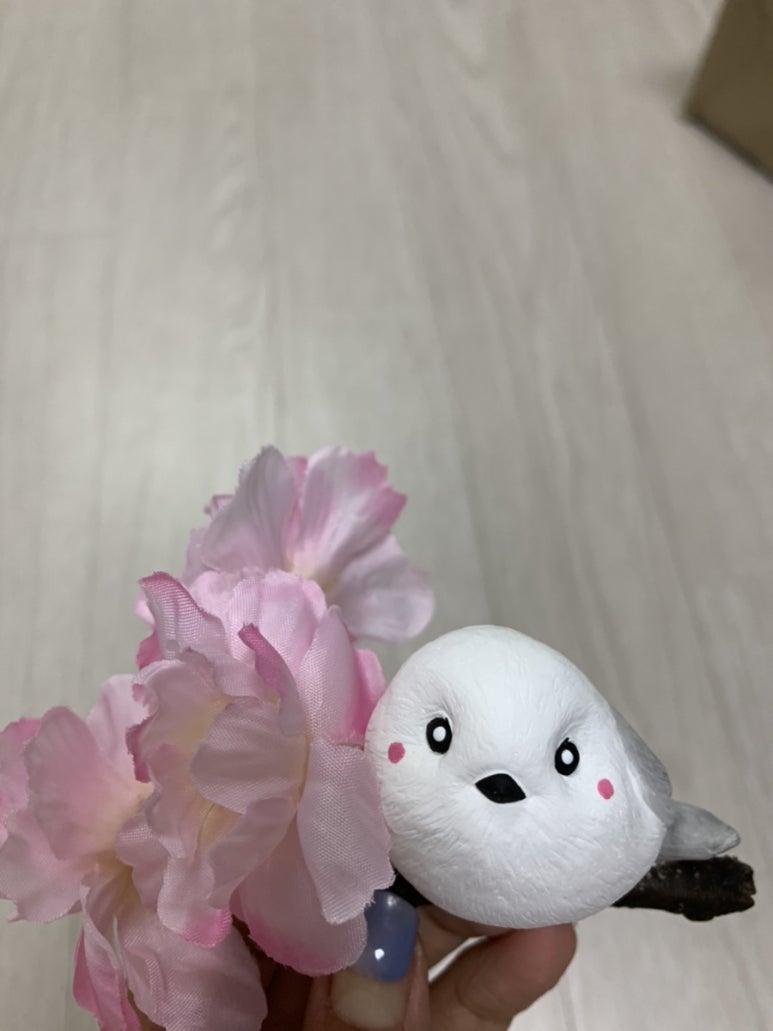 이든혜윰 이미지