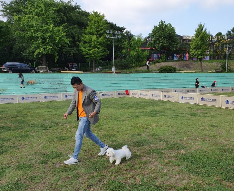 김성균애견미용학원 이미지