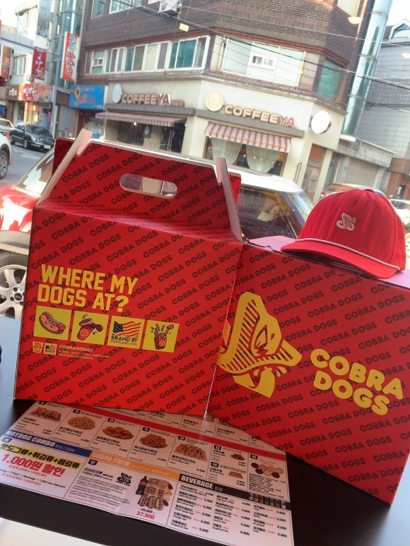 코브라독스 이미지