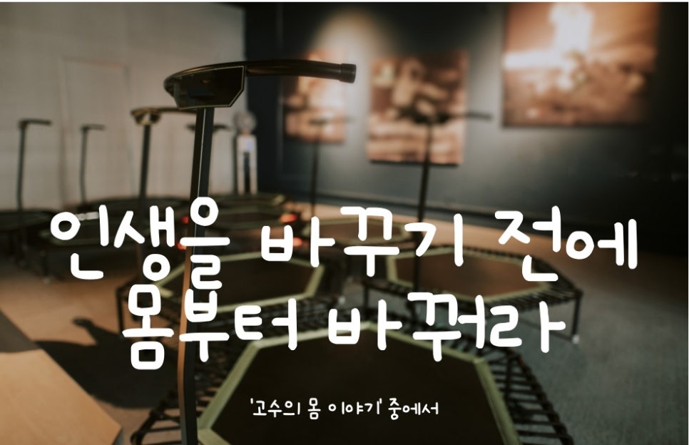사우점핑다이어트 이미지