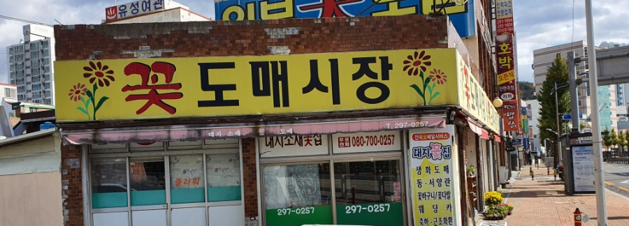 대지꽃집 이미지