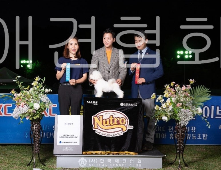 김성균애견미용학원 이미지