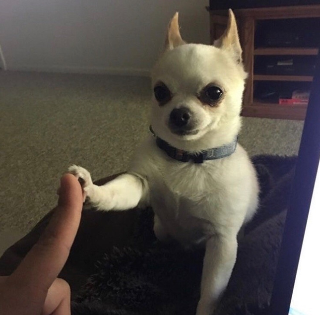 틈바구니 이미지