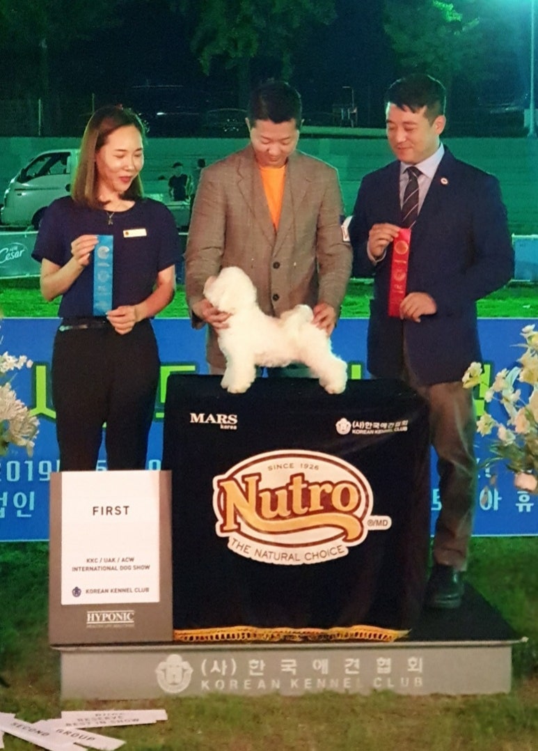 김성균애견미용학원 이미지