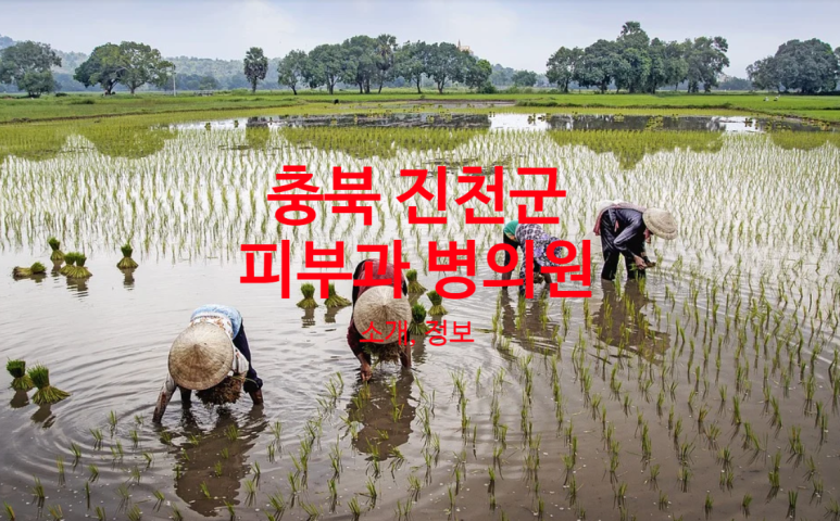 성심흉부외과의원 이미지