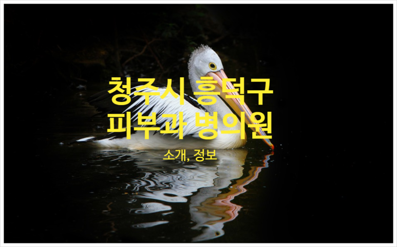 림스신경외과의원 이미지