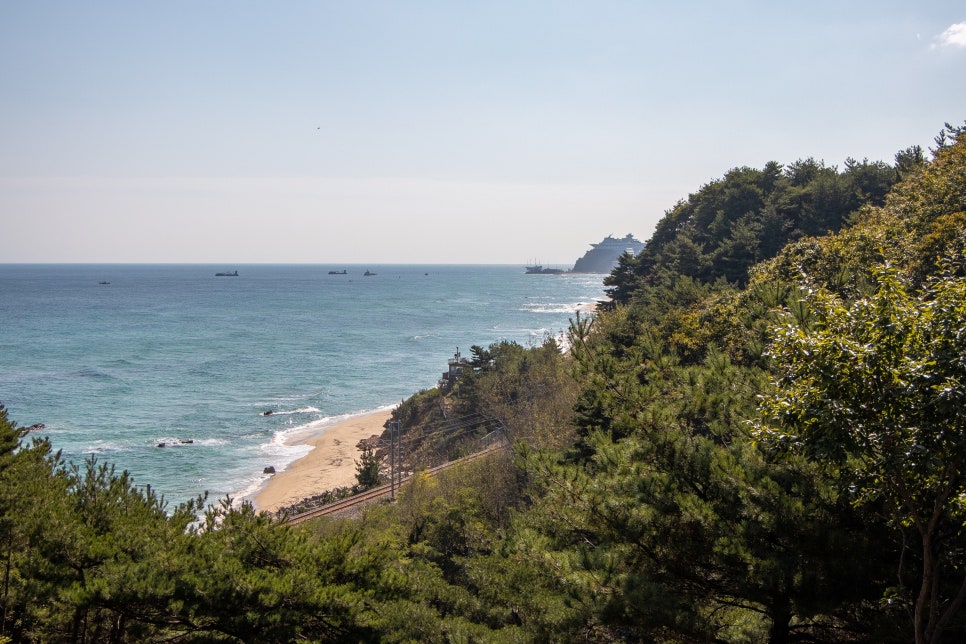 카페동호 이미지