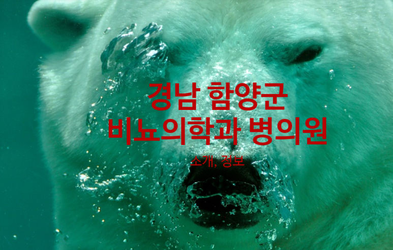 정해일의원 이미지