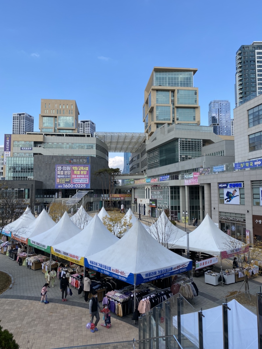 에꼴리에리틀밥독 이미지