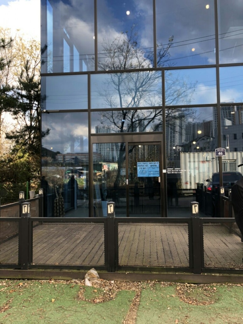퍼피포레스트 이미지