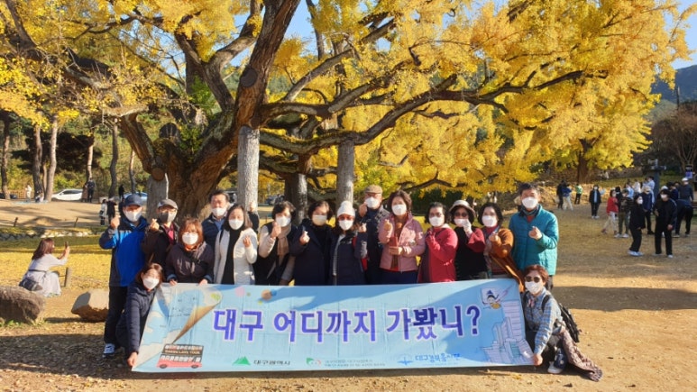 차밥나무 이미지