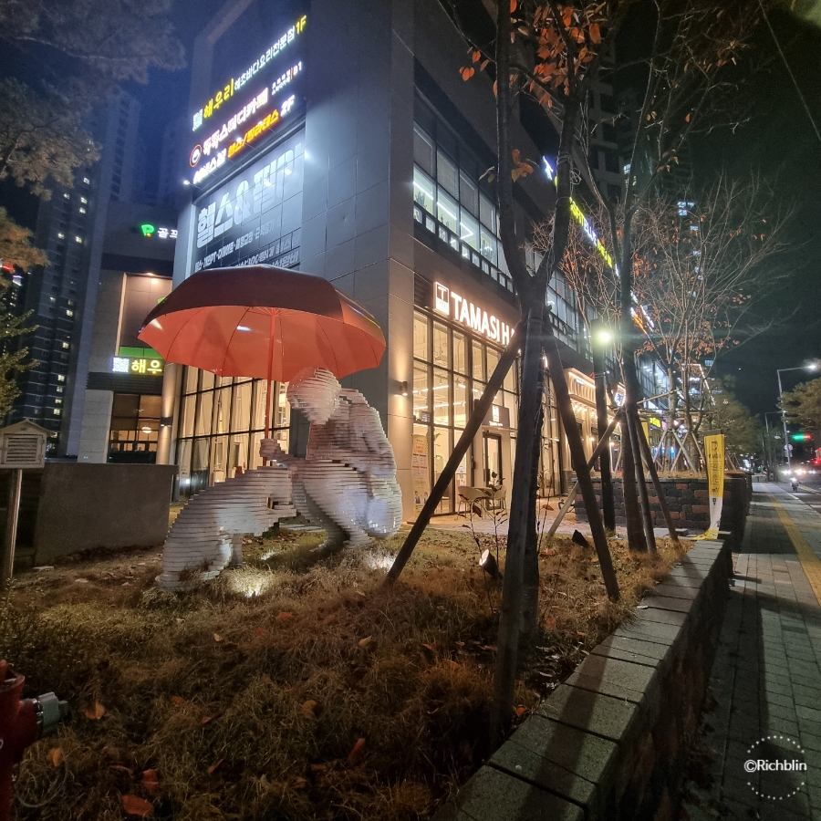 갈비꽃광교 이미지