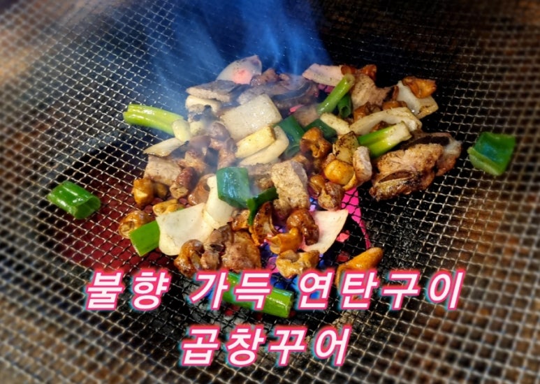 꾸어구어 이미지
