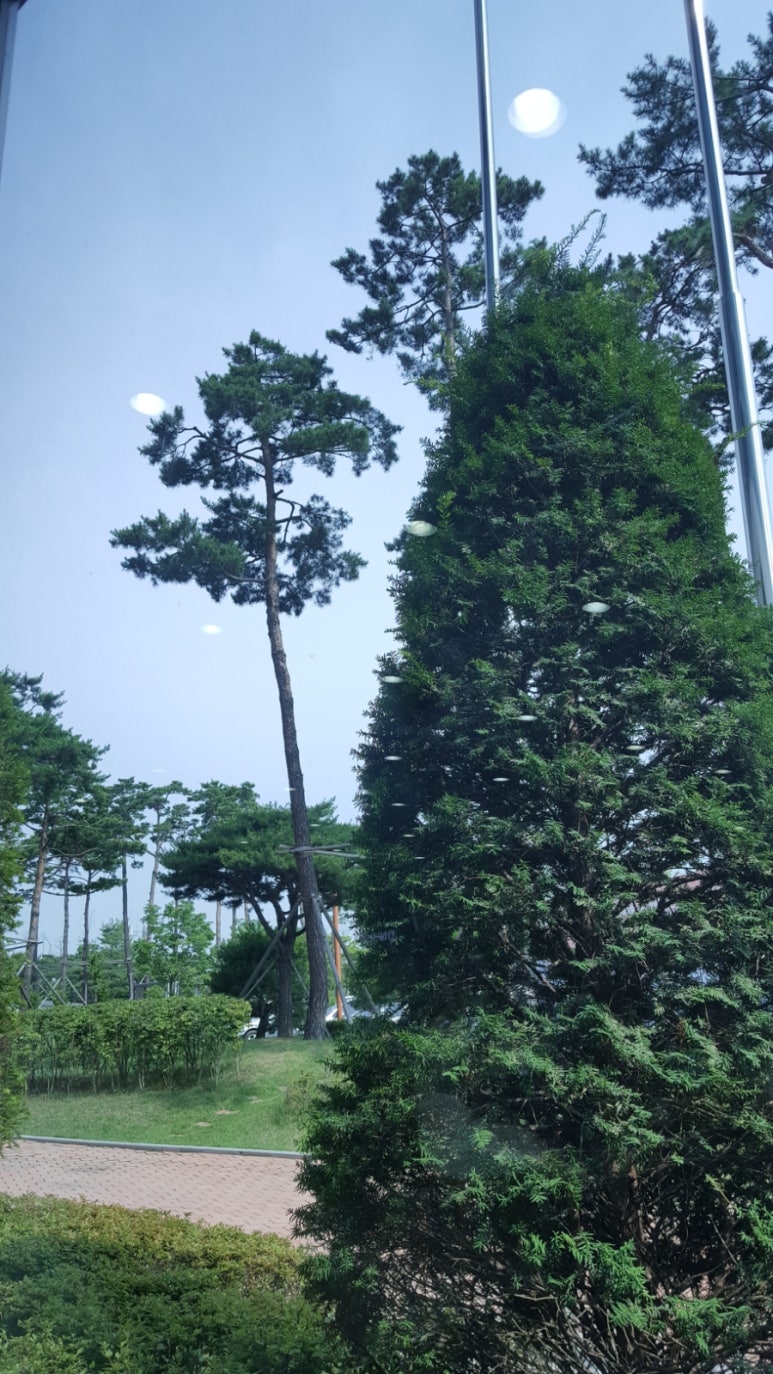 나를가꾸다 이미지
