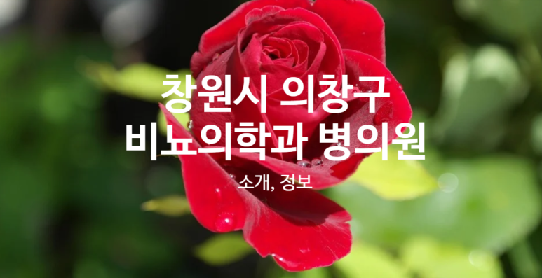킹소아청소년과의원 이미지