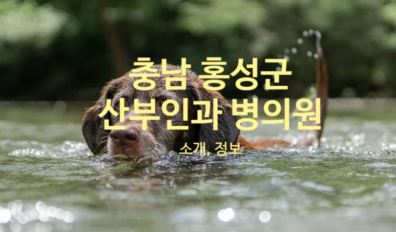 한만봉산부인과 이미지