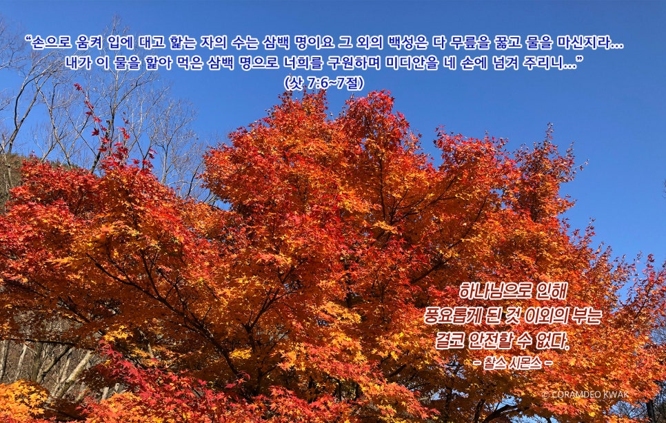 삼백인력 이미지