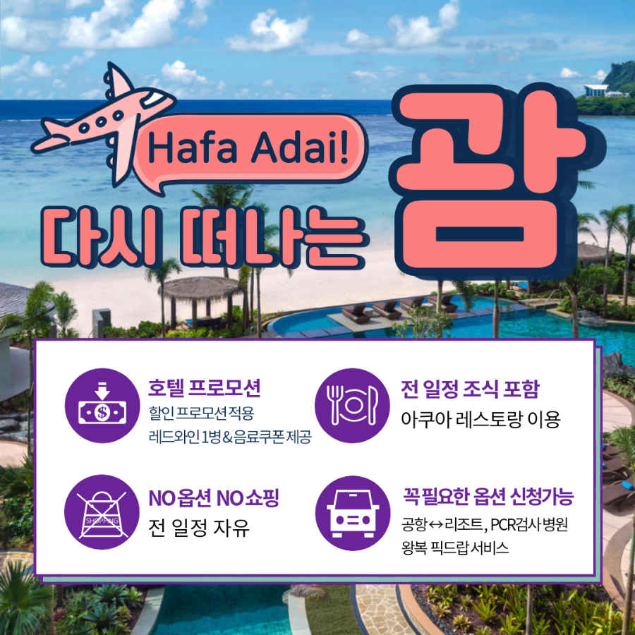 키다리여행사 이미지