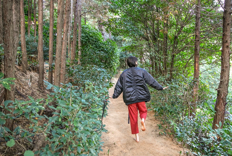 통영 편백숲길 관광농원 이미지