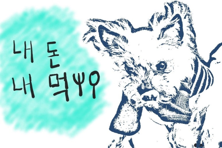 동그르르 이미지