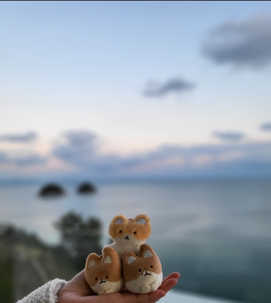 일조오리탕 이미지