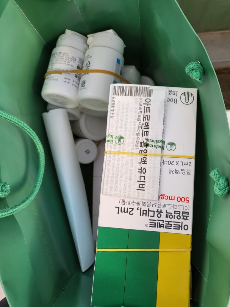 유디브 이미지