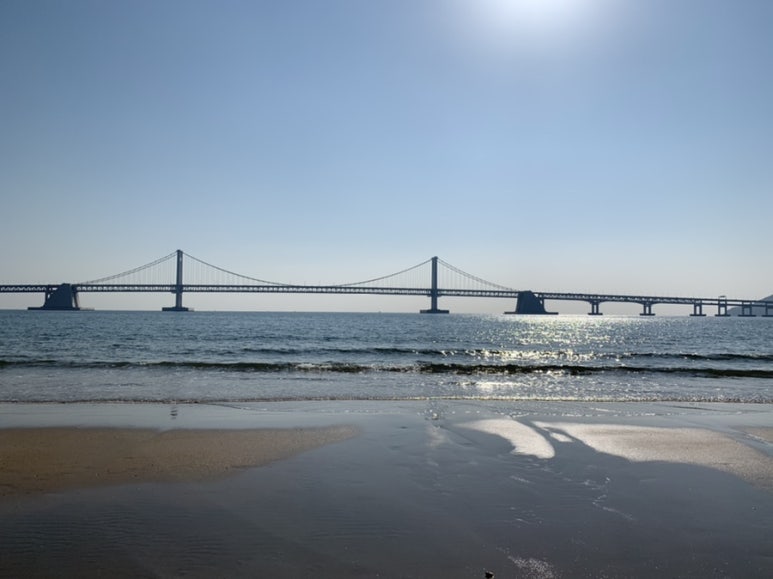 언제나광안 이미지