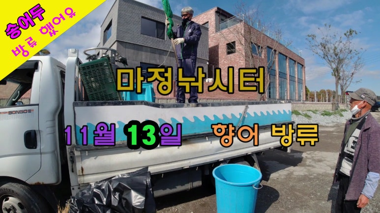 오늘은향어 이미지