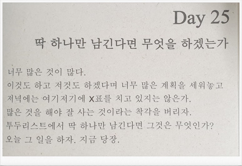 다꿈온 이미지