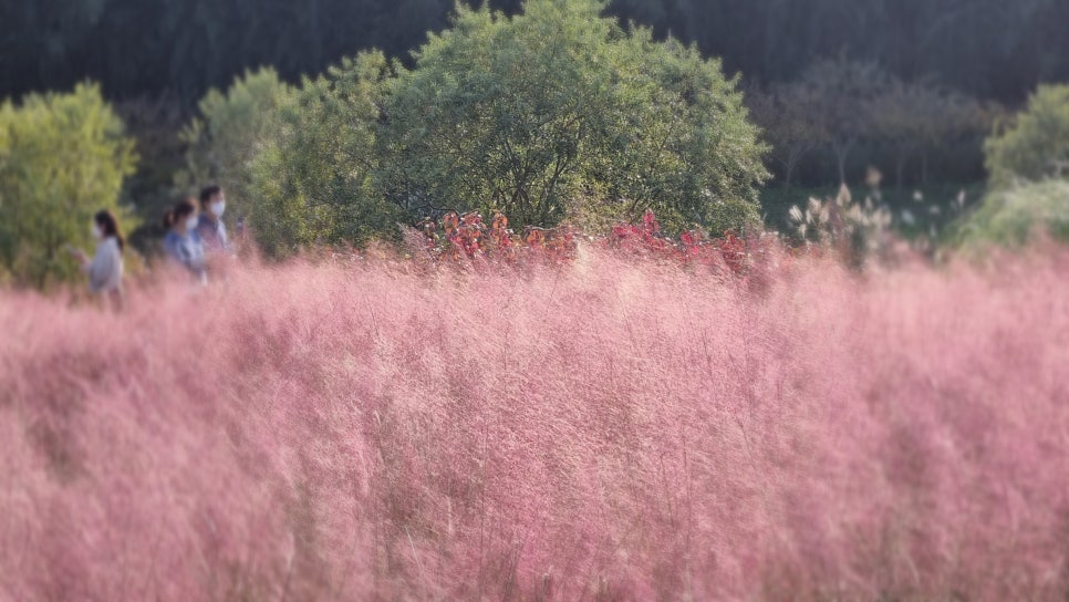 서종주 이미지