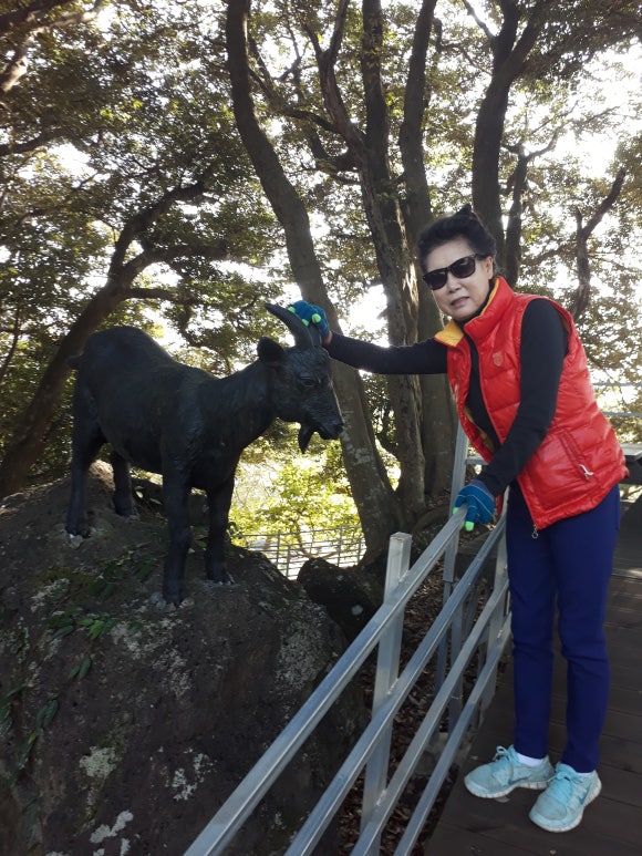 우리흑염소 사진 8