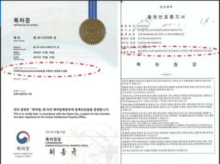 (주) 메딕스셀 이미지