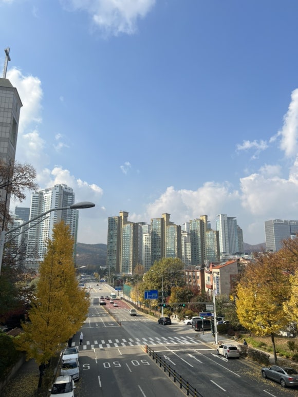 김이케이크샵 이미지