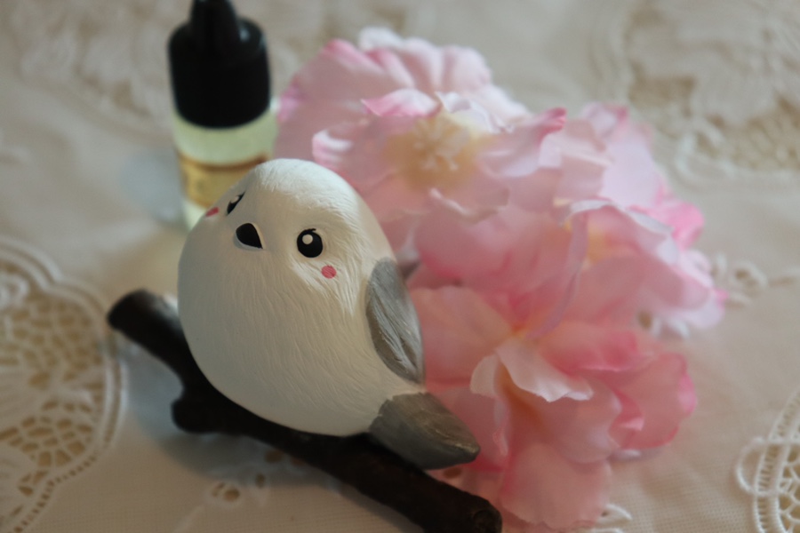 이든혜윰 이미지