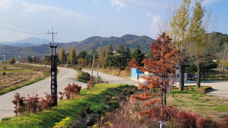호산삼거리주유소 이미지