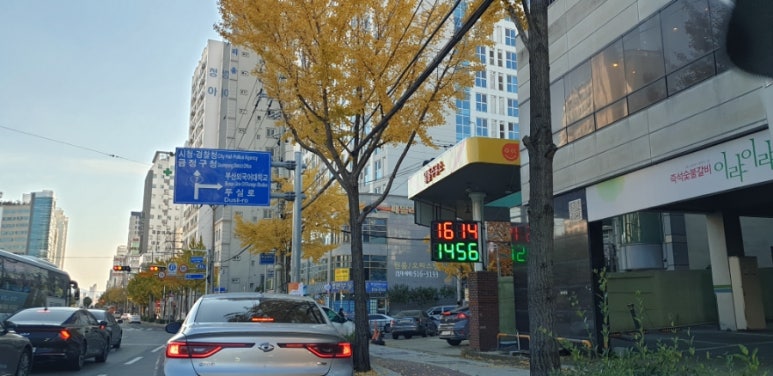 장모님주유소 이미지