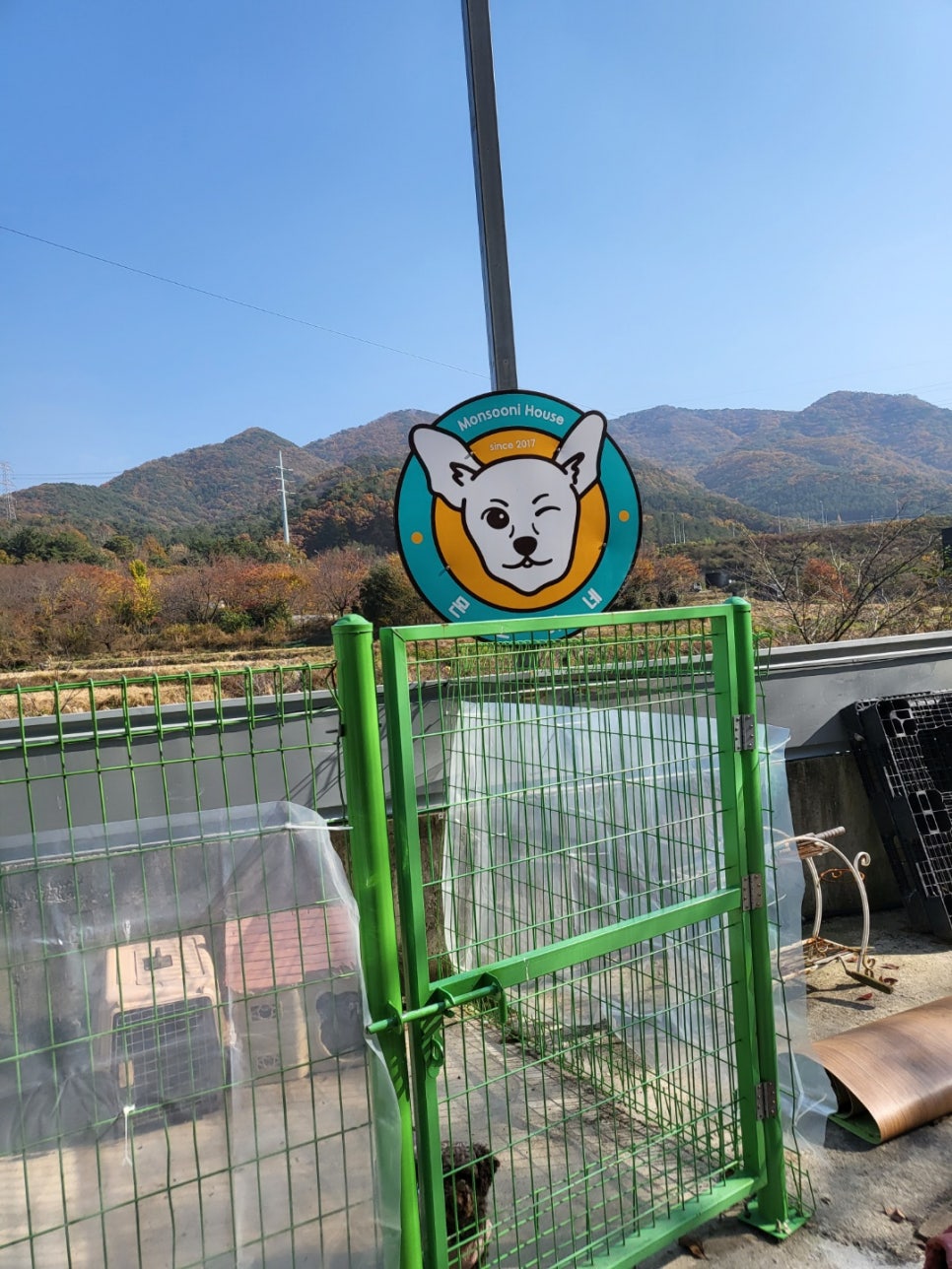 아이스홀릭 정관점 이미지