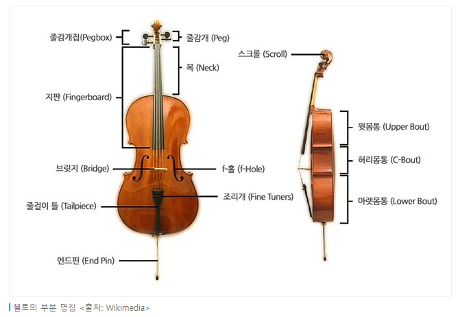 첼로스쿨 이미지