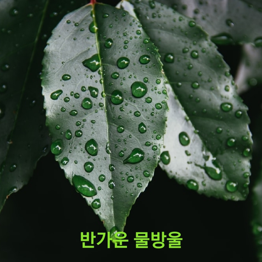 연 노래뮤비방 이미지
