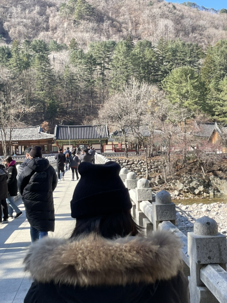 더해피니스 이미지