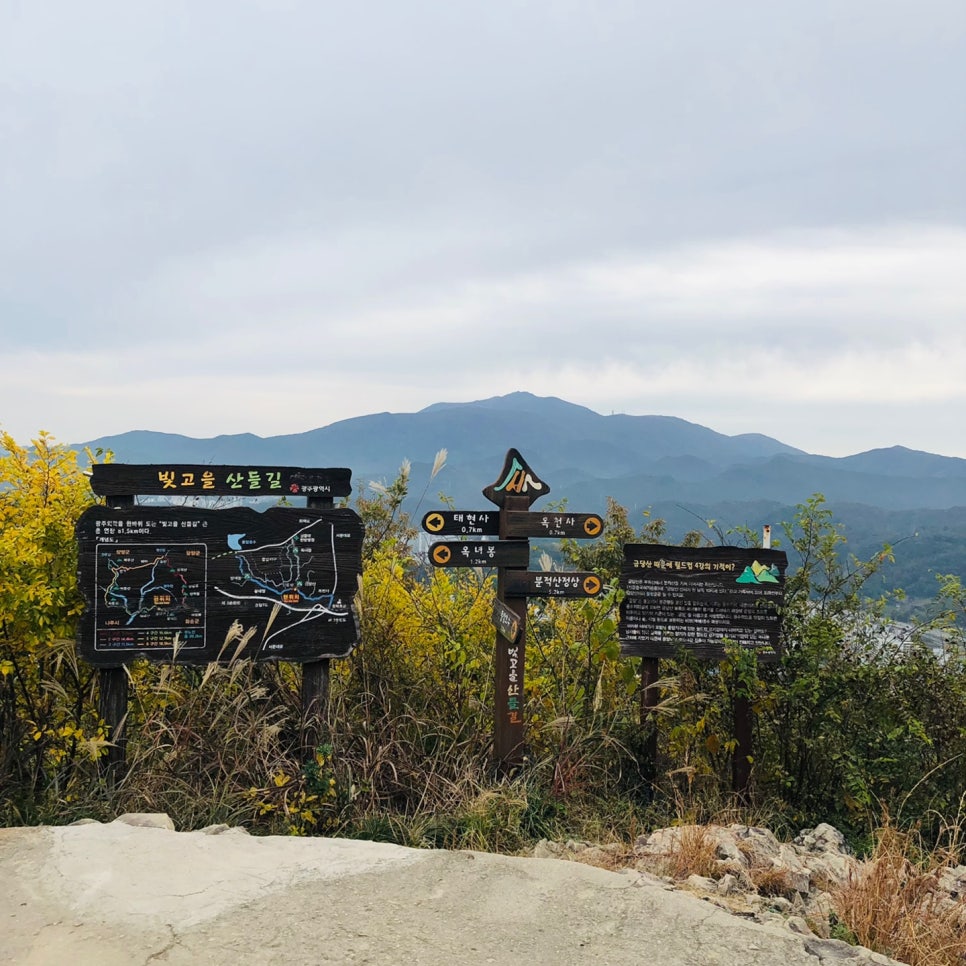 금당산 산하 이미지