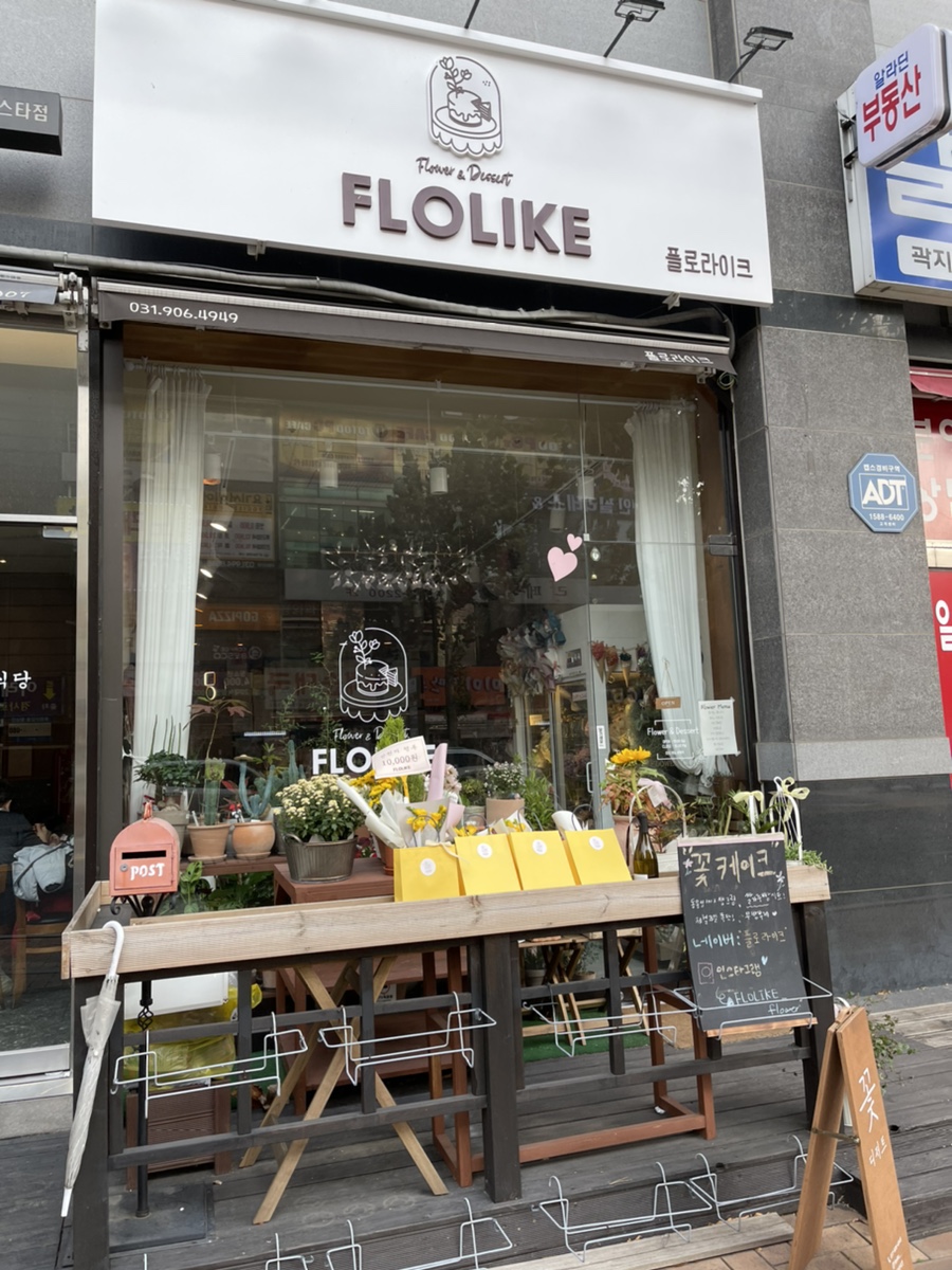 플로라이크FLOLIKE 이미지