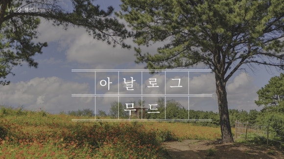 김영태스시앤사시미마을 이미지