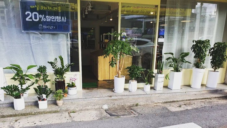 브레드담다 이미지